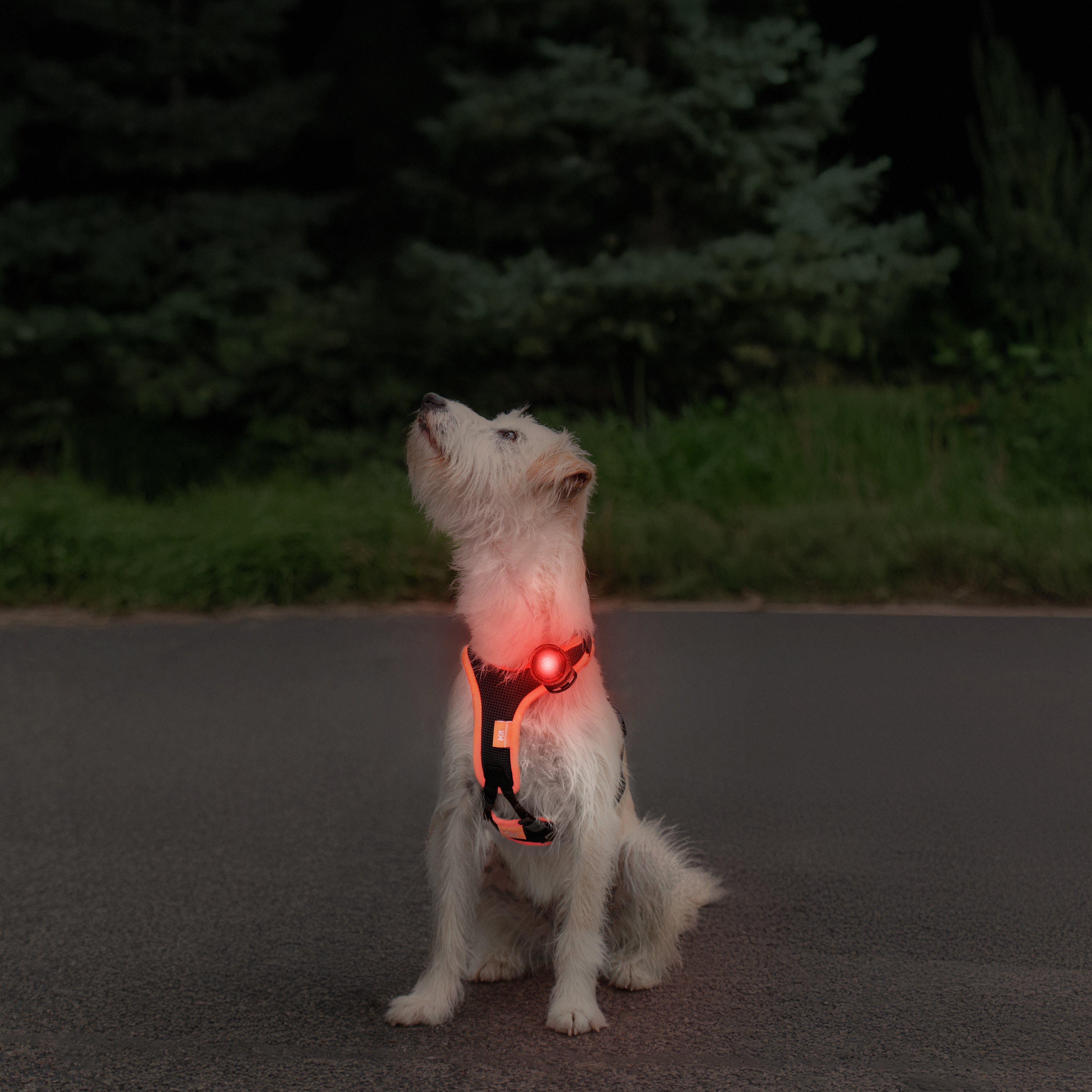 Produktbild 2
